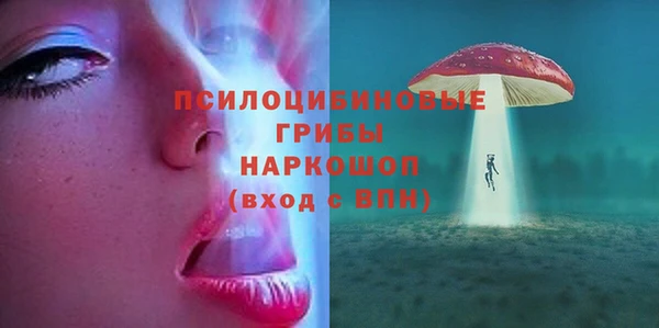 Альфа ПВП Алзамай