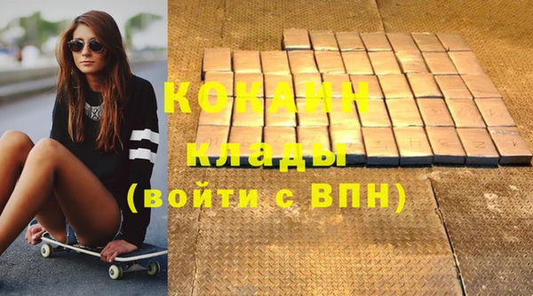 кокс Алексин