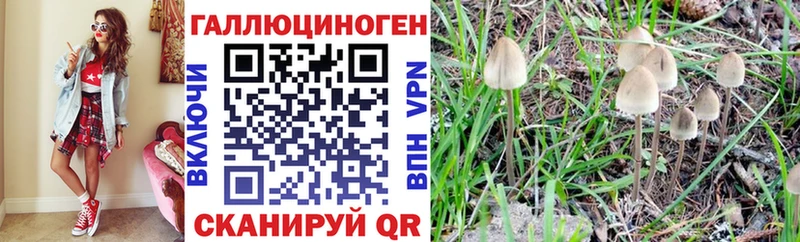 Псилоцибиновые грибы прущие грибы  Сасово 